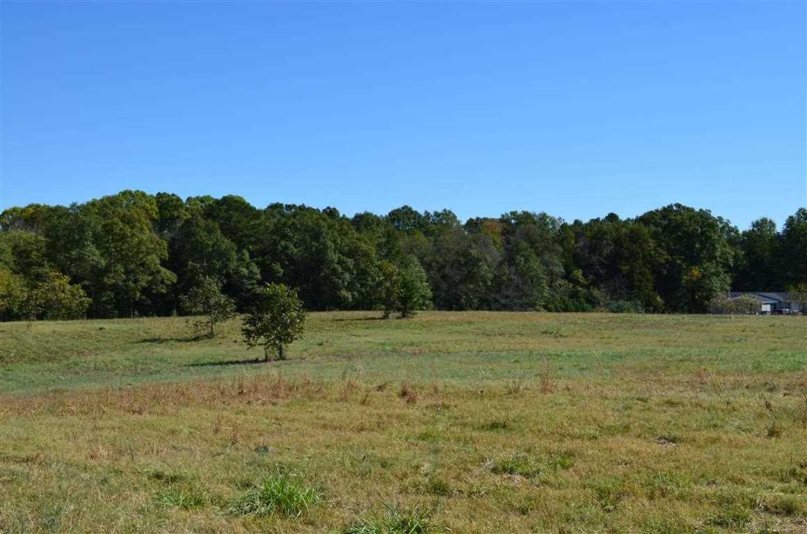 172-188 McCall Road, Unit HWY 252 Honea Path, SC 29654 - Photo 8 of 14 Gallery Image 8