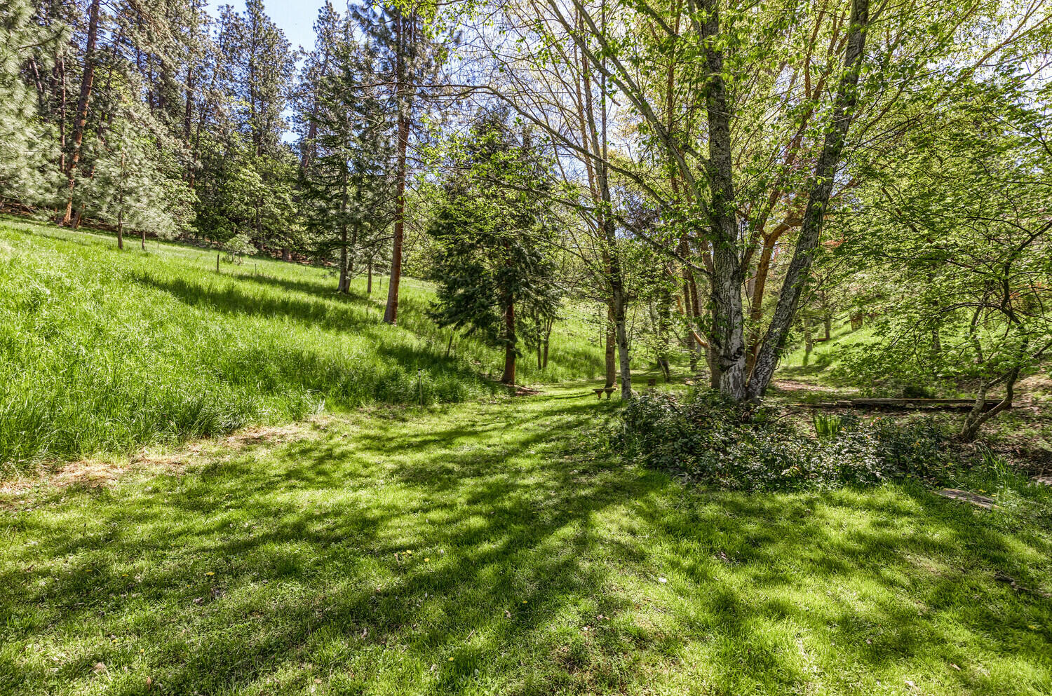 804 Roca Street Ashland, OR 97520 - Photo 38 of 43 Roca Canyon