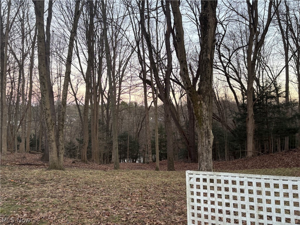 4455 Cleveland Road, Unit 20 Wooster, OH 44691 - Photo 6 of 38 View of wooded yard at dusk