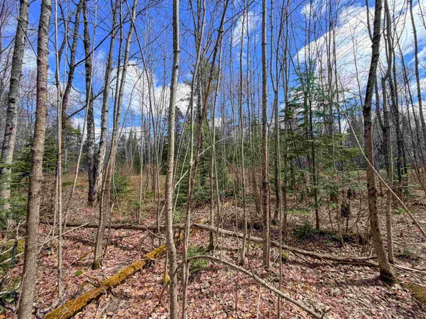 $69,900 | Lot 4 Oregon Road, Lunenburg, VT 05906