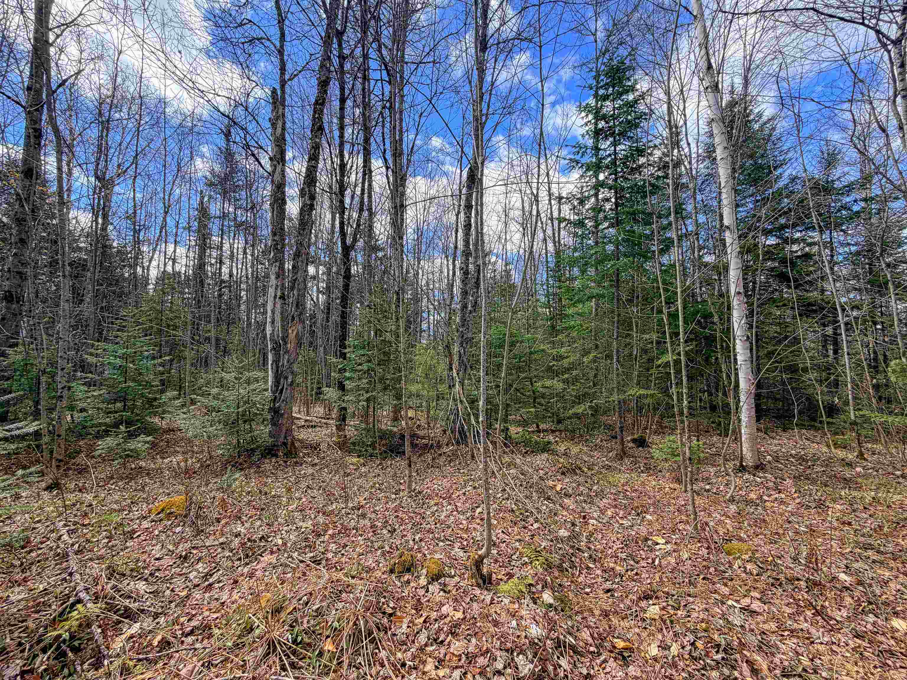 Lot 4 Oregon Road Lunenburg, VT 05906 - Photo 3 of 10
