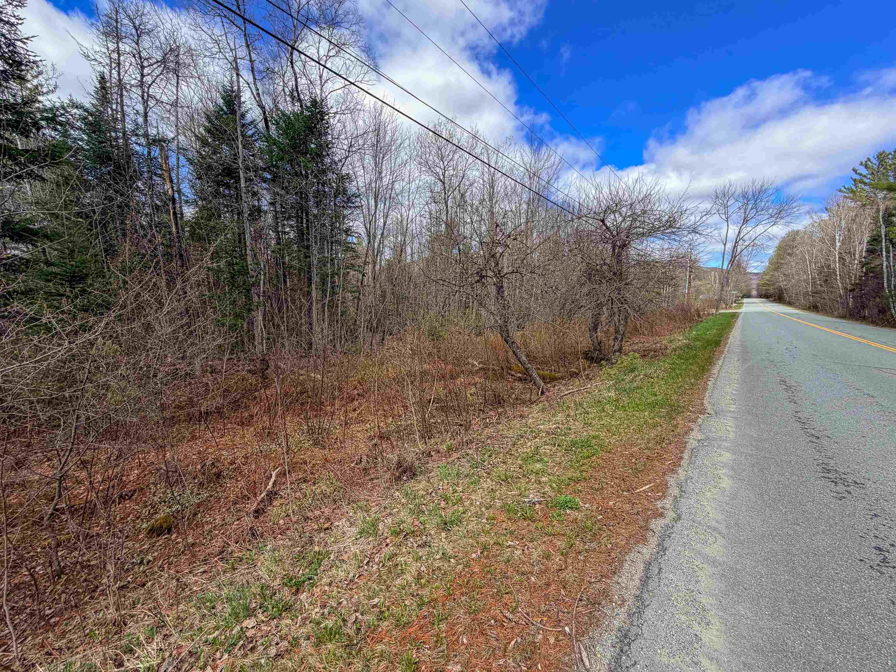 Lot 4 Oregon Road Lunenburg, VT 05906 - Photo 5 of 10