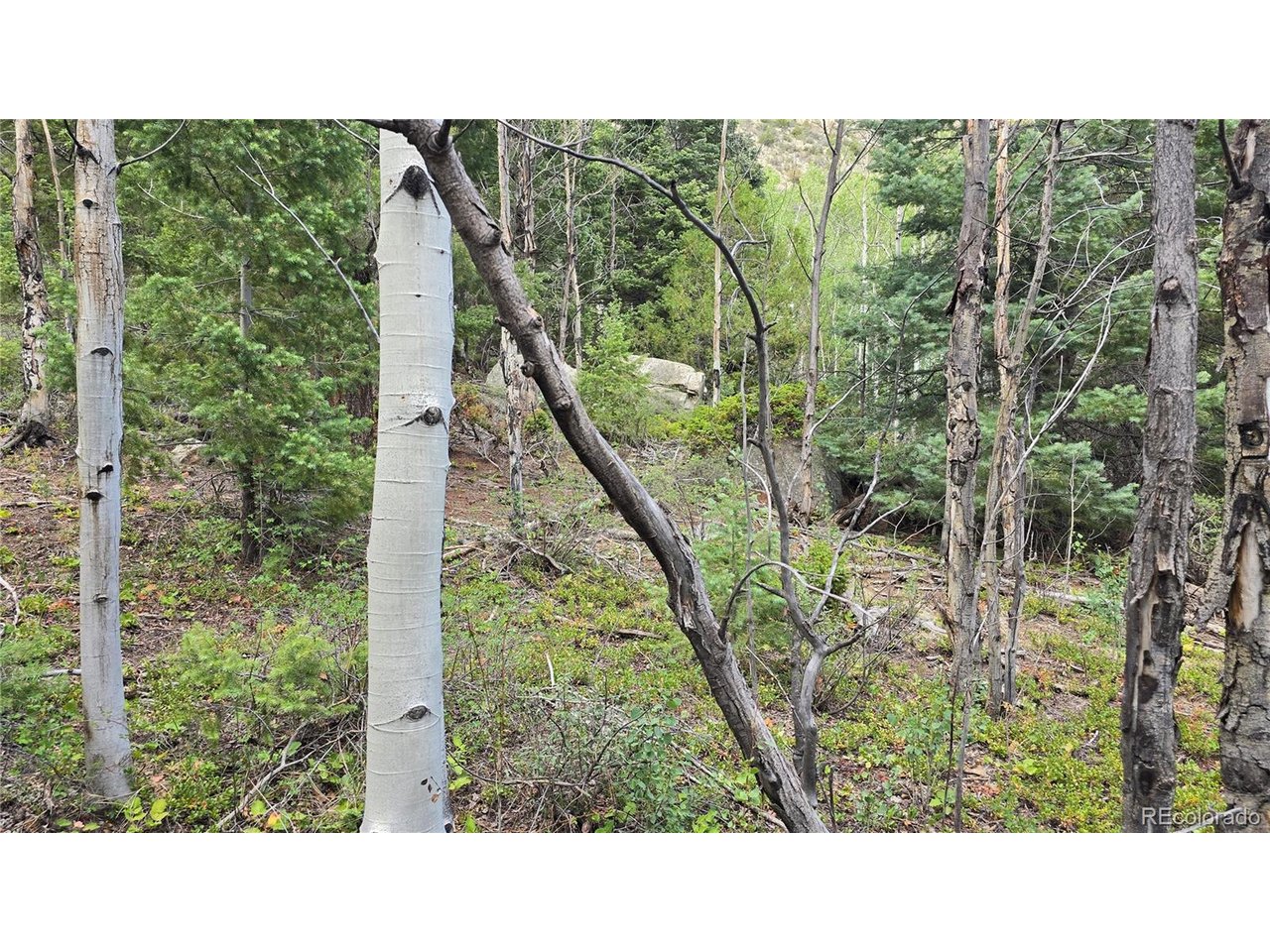 6474 Malcolm Road San Luis, CO 81152 - Photo 24 of 30