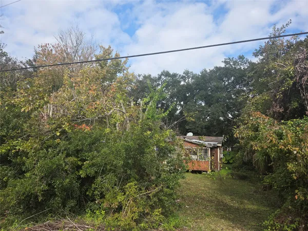 a view of a yard