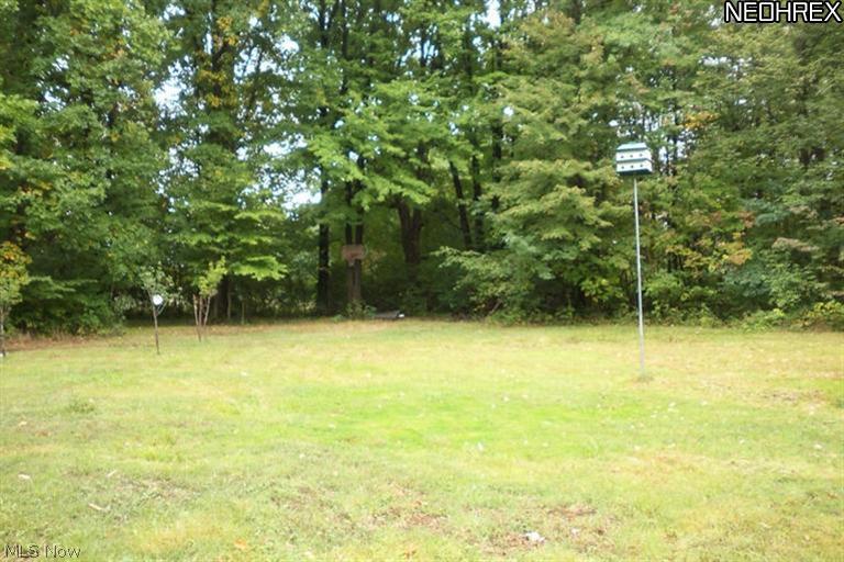 12315 Williams Road Homerville, OH 44235 - Photo 2 of 8 Large clearing in the woods