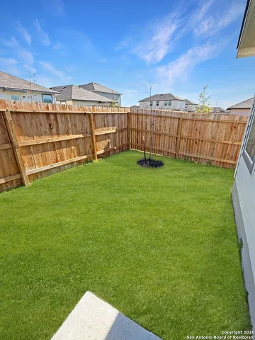 a view of a big yard with a large trees