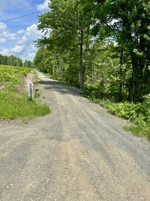 Lot 2 Hammond Brook Road Monson, ME 04464 - Photo 6 of 8