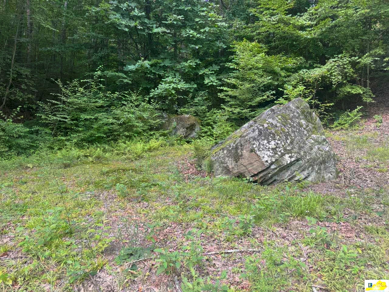 0 Skull Bone Tower Road Stearns, KY 42647 - Photo 12 of 31 Gallery Image 12