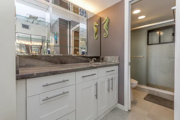 a bathroom with a granite countertop sink and a mirror