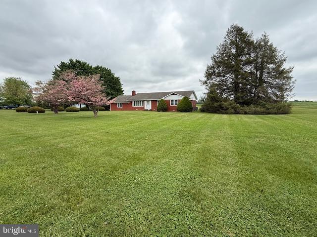 8629 Airy Hill Road Chestertown, MD 21620 - Photo 3 of 45 Front Yard
