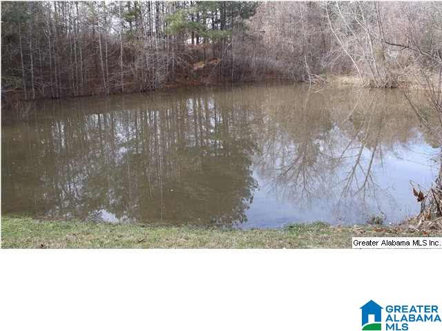 165 Bo Coffee Road Ashville, AL 35953 - Photo 27 of 31