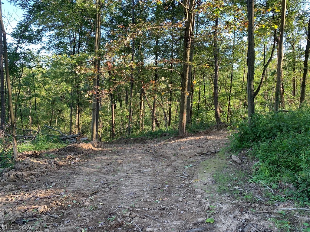 76544 Zion Road Kimbolton, OH 43749 - Photo 5 of 14 Gallery Image 5
