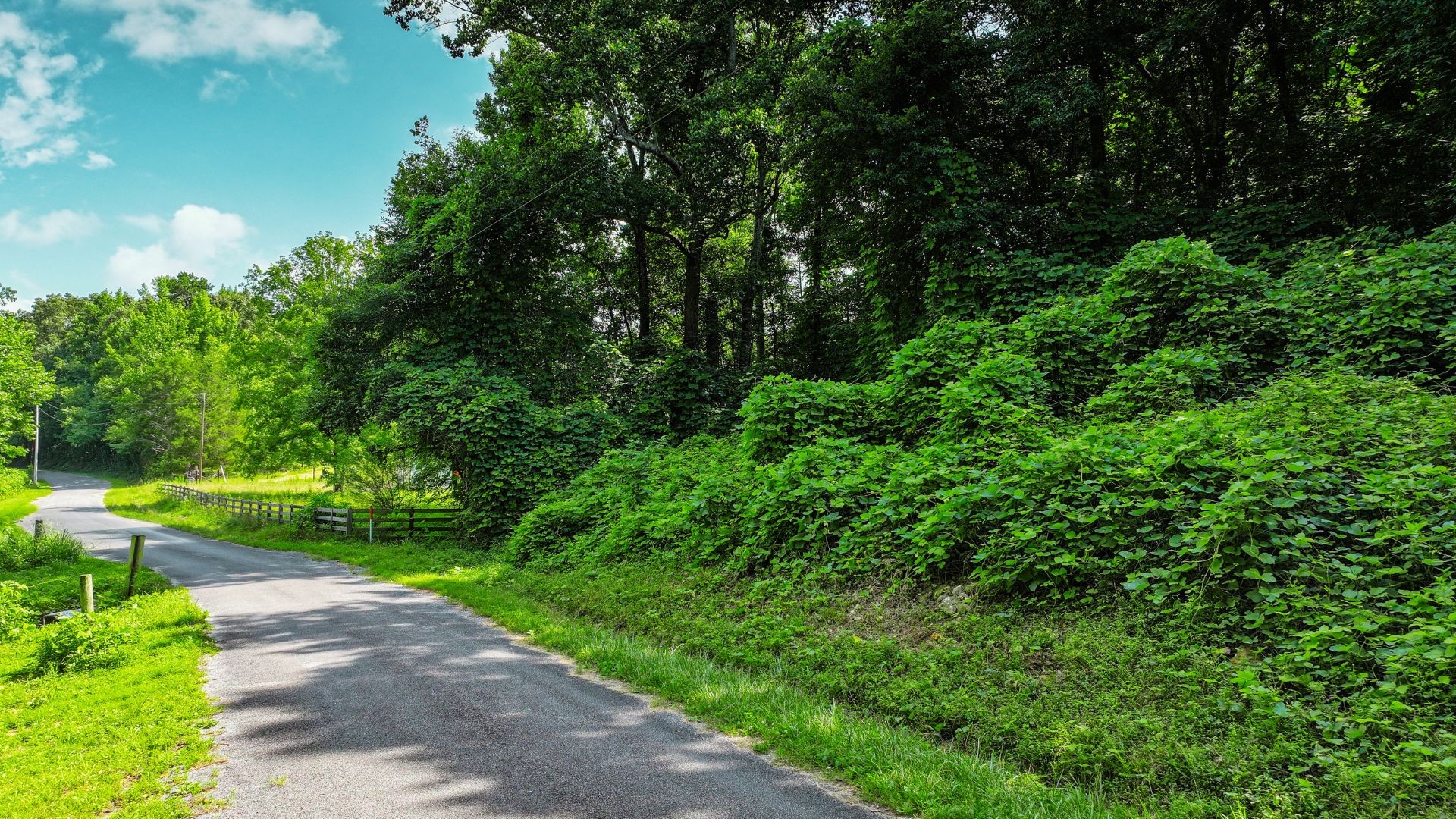 0 Davis Hollow Road Minor Hill, TN 38473 - Photo 9 of 23