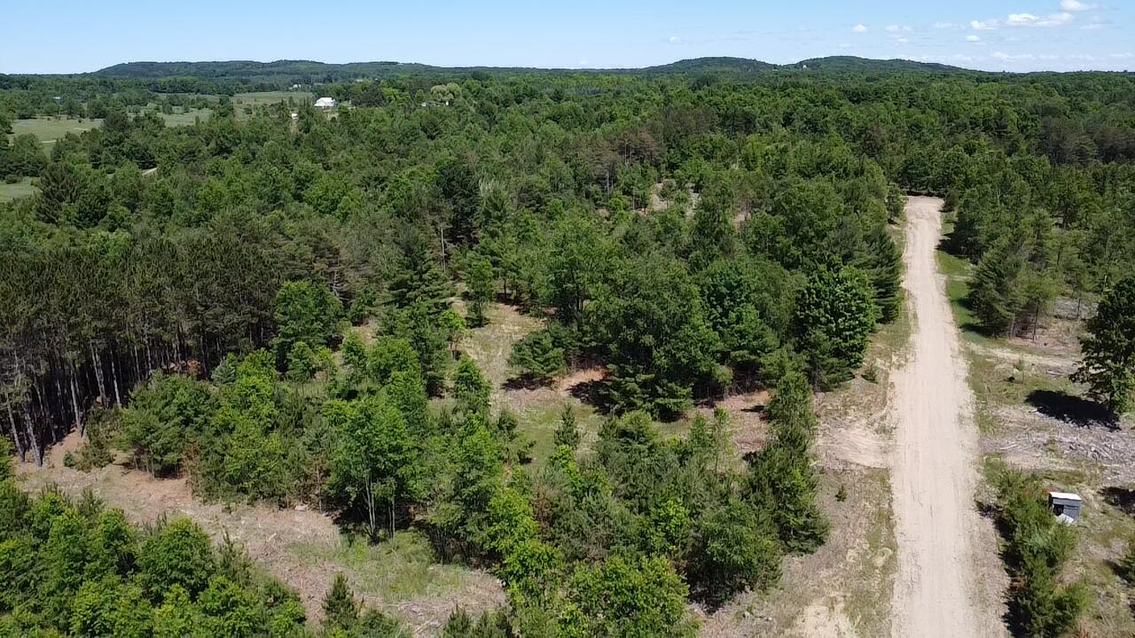 7.91-acres Butwell Road Bear Lake, MI 49614 - Photo 4 of 22 2026-06-22-14-59-42-748