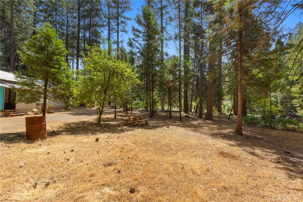 10055 Cohasset Road Chico, CA 95973 - Photo 18 of 24