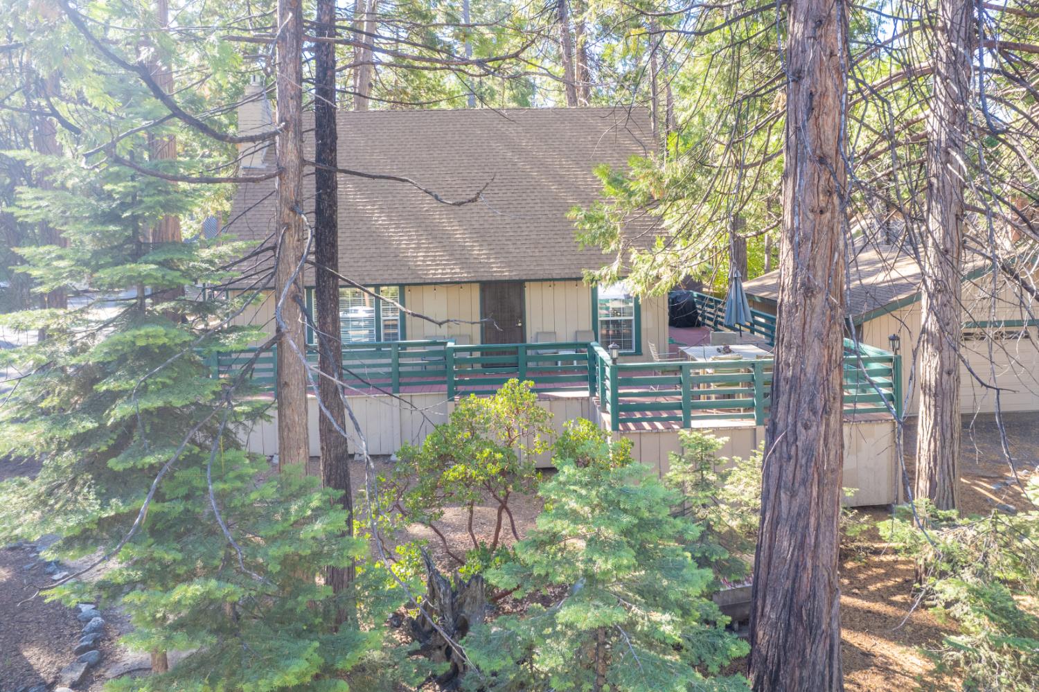 42088 North Elderberry Road Shaver Lake, CA 93664 - Photo 43 of 49 a backyard of a house with lots of green space