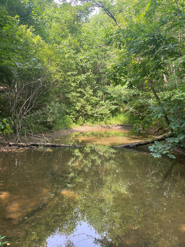 0 Hidden Lakes Road Topton, NC 28781 - Photo 6 of 7