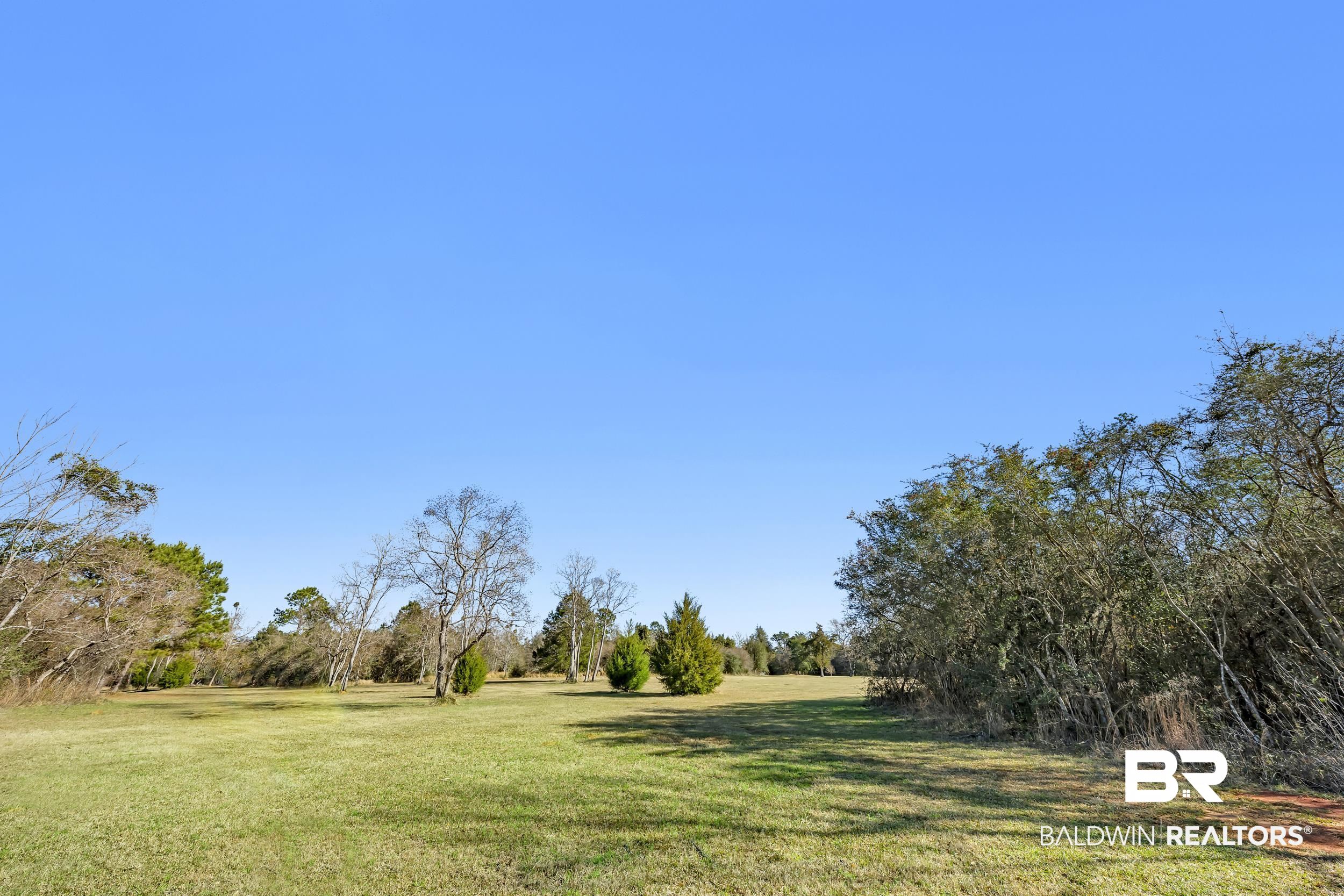 16691 Mosley Road Stapleton, AL 36578 - Photo 16 of 32 View of green lawn