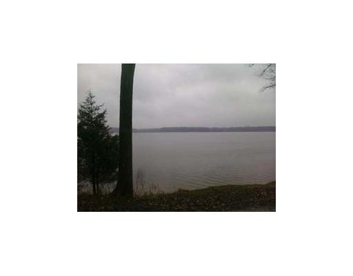 1297 Sugarloaf Lake Road Chelsea, MI 48118 - Photo 3 of 8 Photo 3