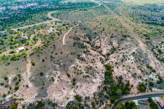 a view of a yard with palm trees