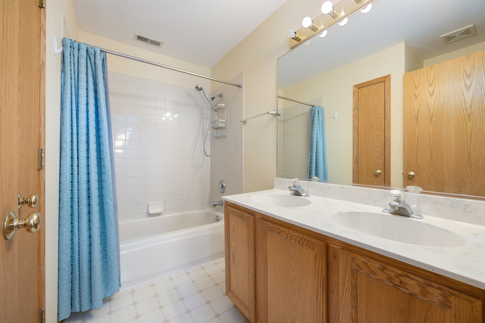 24859 Vermette Road Plainfield, IL 60585 - Photo 22 of 39 a bathroom with a sink double vanity mirror and a bathtub