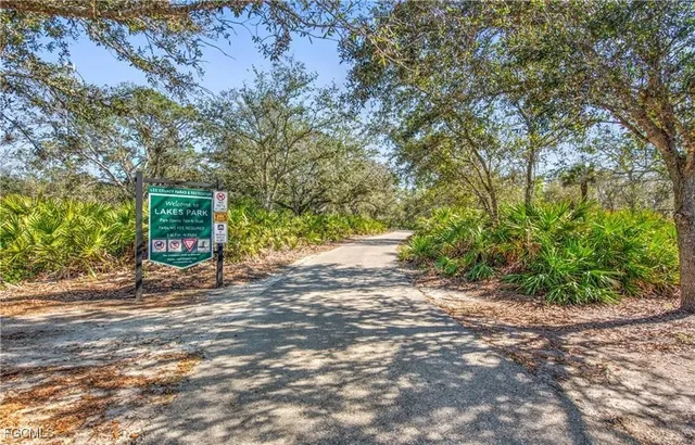 a view of a yard with plants and large trees
