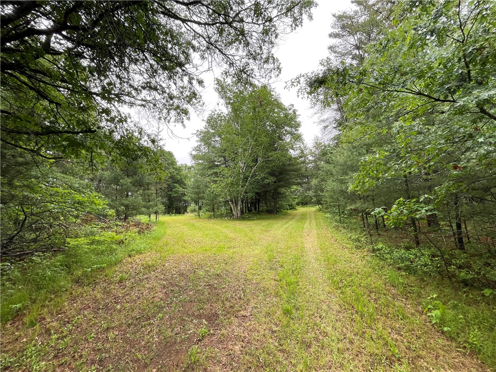 0 Loon Lake Road Spooner, WI 54801 - Photo 10 of 28