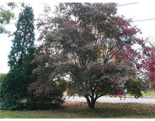 790 Ridge Road Ambridge, PA 15003 - Photo 11 of 12 Yard/Garden. Beautiful mature trees line the front of the property allowing additional privacy and enjoyment.