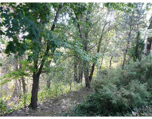 790 Ridge Road Ambridge, PA 15003 - Photo 9 of 12 Yard/Garden. Enjoy the wooded private backyard.