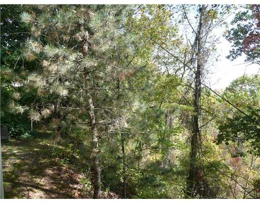 790 Ridge Road Ambridge, PA 15003 - Photo 10 of 12 View. Natural wooded view from back.