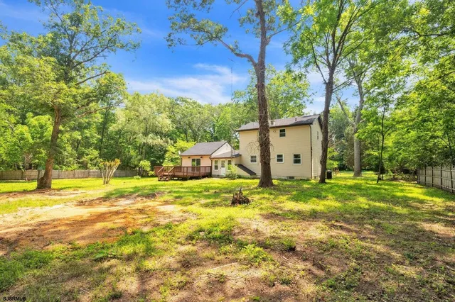 a view of a large garden with plants and large trees