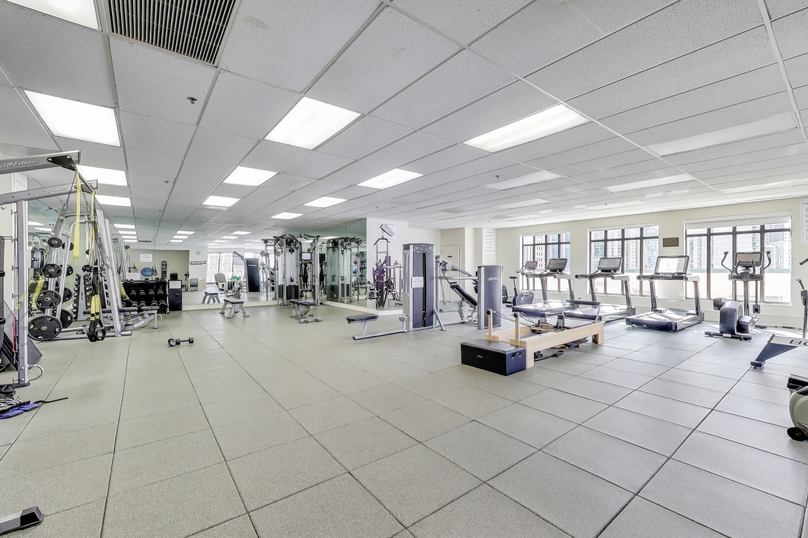 55 West Delaware Place, Unit 810 Chicago, IL 60610 - Photo 24 of 29 a room with gym equipment and lots of potted plants