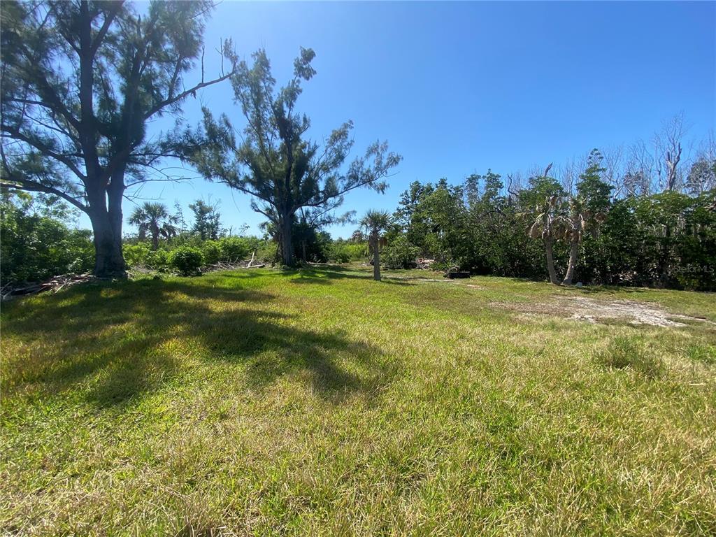 7 Access Undetermined Boca Grande, FL 33921 - Photo 11 of 33 a view of a grassy field with trees in the background