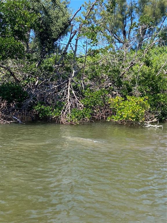 7 Access Undetermined Boca Grande, FL 33921 - Photo 19 of 33 a view of a lake with a house in the background