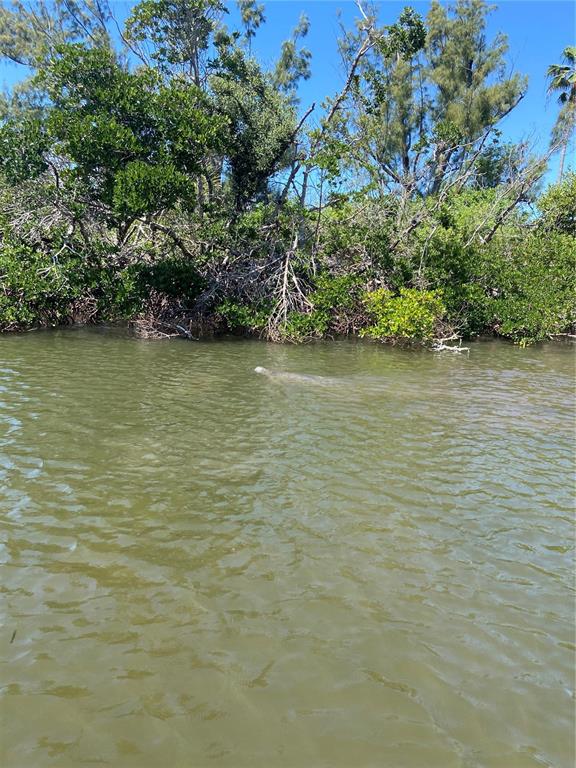 7 Access Undetermined Boca Grande, FL 33921 - Photo 20 of 33 a view of an ocean