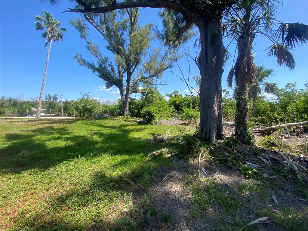7 Access Undetermined Boca Grande, FL 33921 - Photo 5 of 33 a view of a garden with a tree