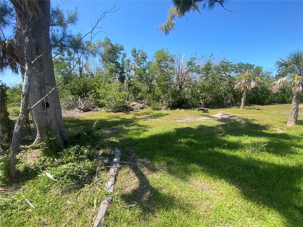 7 Access Undetermined Boca Grande, FL 33921 - Photo 7 of 33 a view of a big yard with lots of green space and mountain view in back