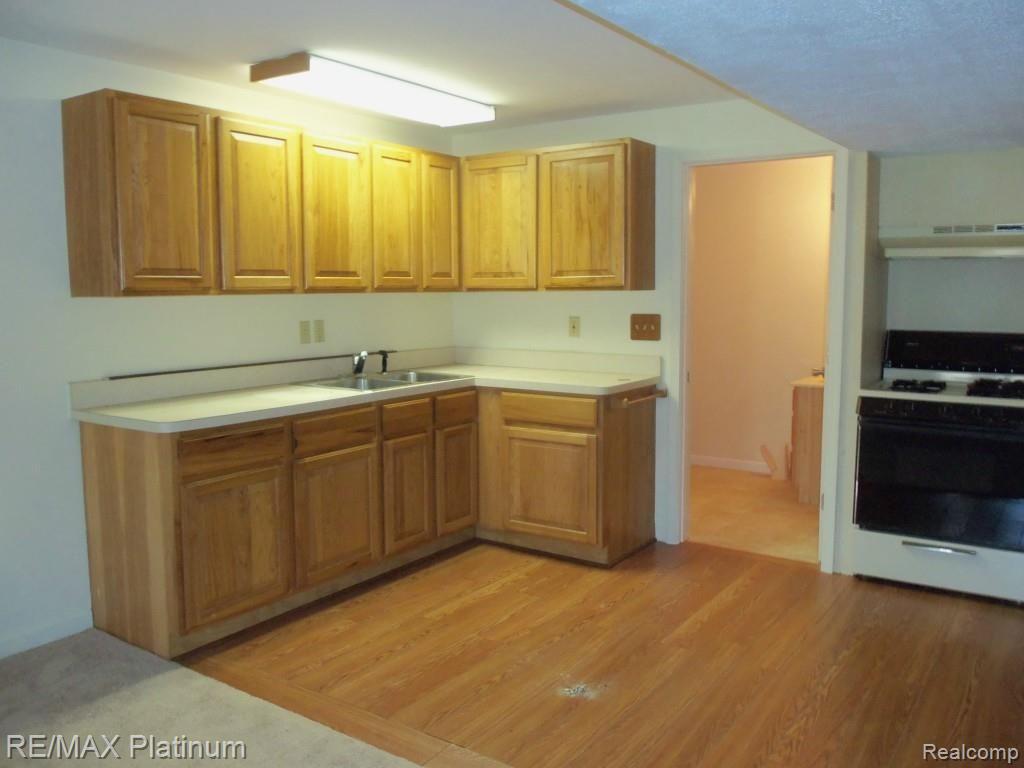 12184 Lovejoy Road Byron, MI 48418 - Photo 12 of 17