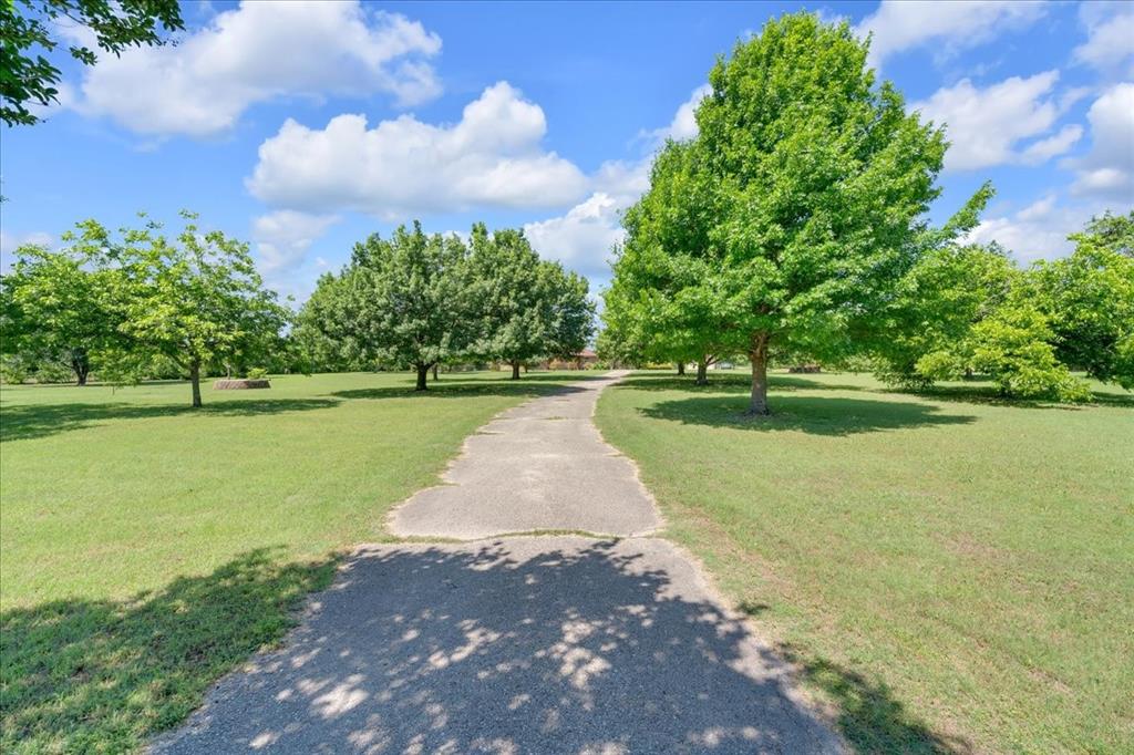 1900 South Duncanville Road Red Oak, TX 75154 - Photo 5 of 39 View of the drive up to the home with mature trees and tons of yard!