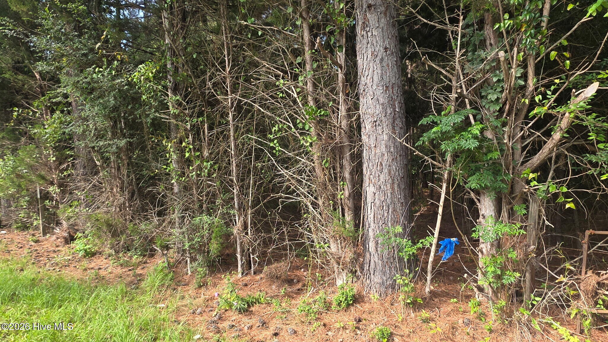 0 Old Lincolnton Road Appling, GA 30802 - Photo 1 of 8