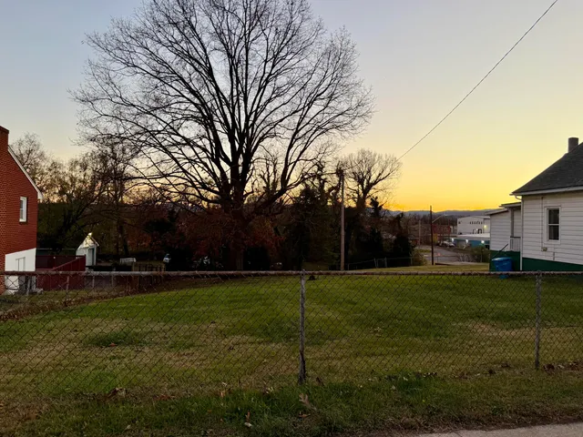 a view of a park with large trees