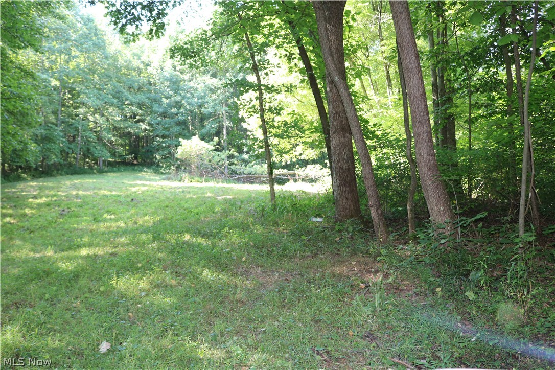 Lick Run Road Newcomerstown, OH 43832 - Photo 12 of 23 Gallery Image 12