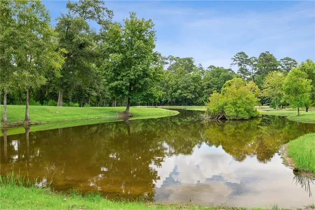 $895,000 | 21176 Sylvest Road, Franklinton, LA 70438