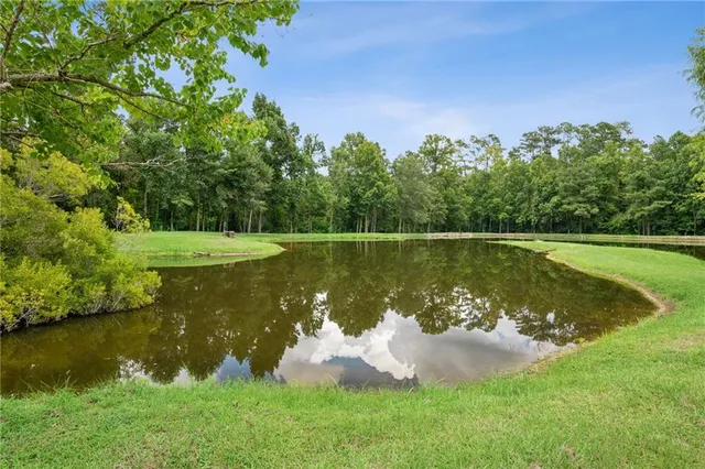$895,000 | 21176 Sylvest Road, Franklinton, LA 70438