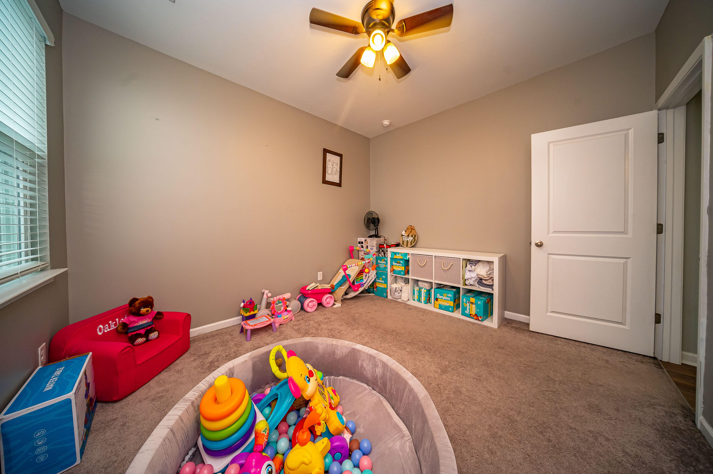 9644 Brandishing Road Ladson, SC 29456 - Photo 41 of 57 JDH_8894