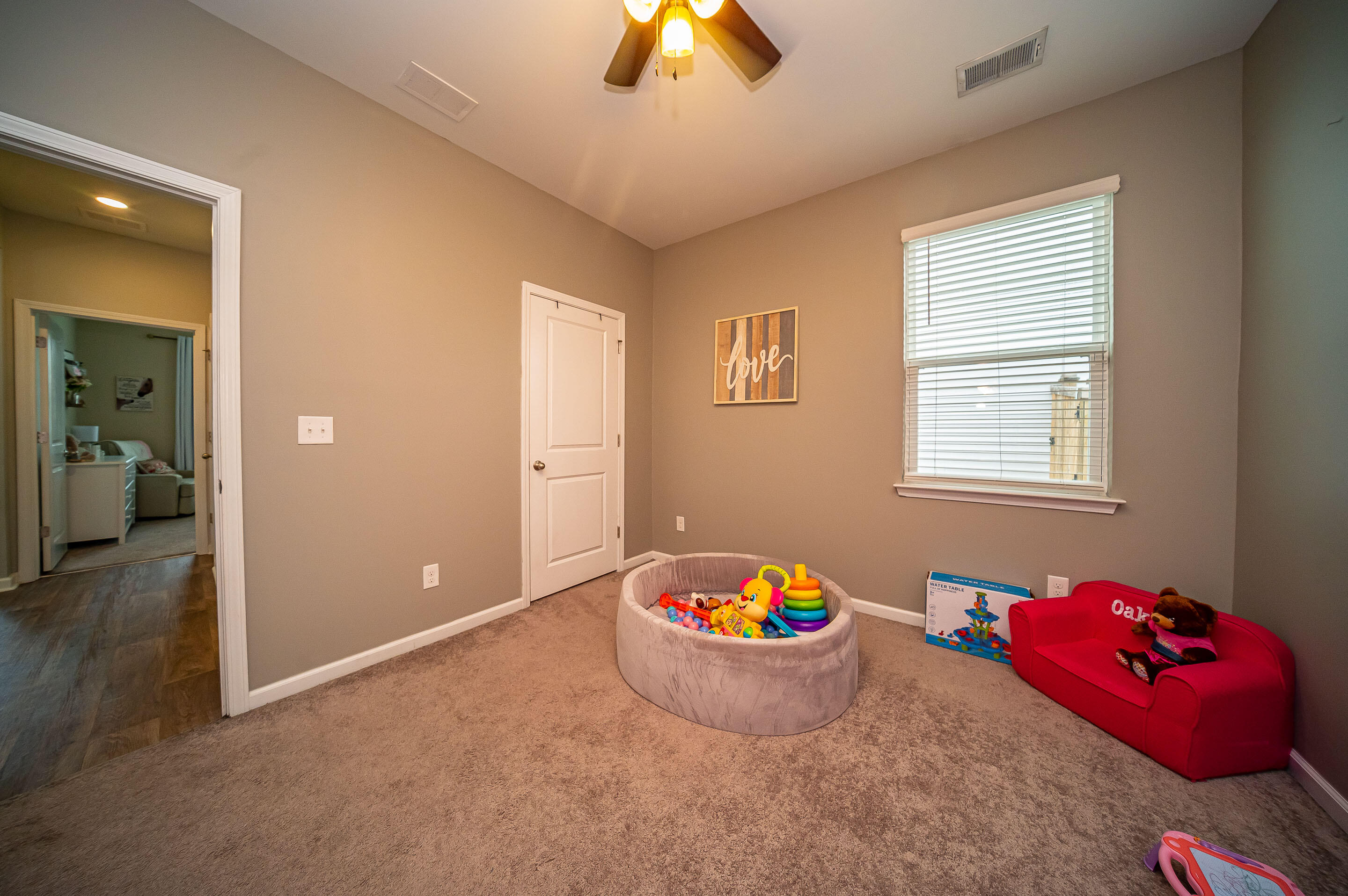9644 Brandishing Road Ladson, SC 29456 - Photo 42 of 57 JDH_8895