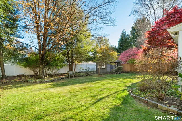 a view of a yard with a tree