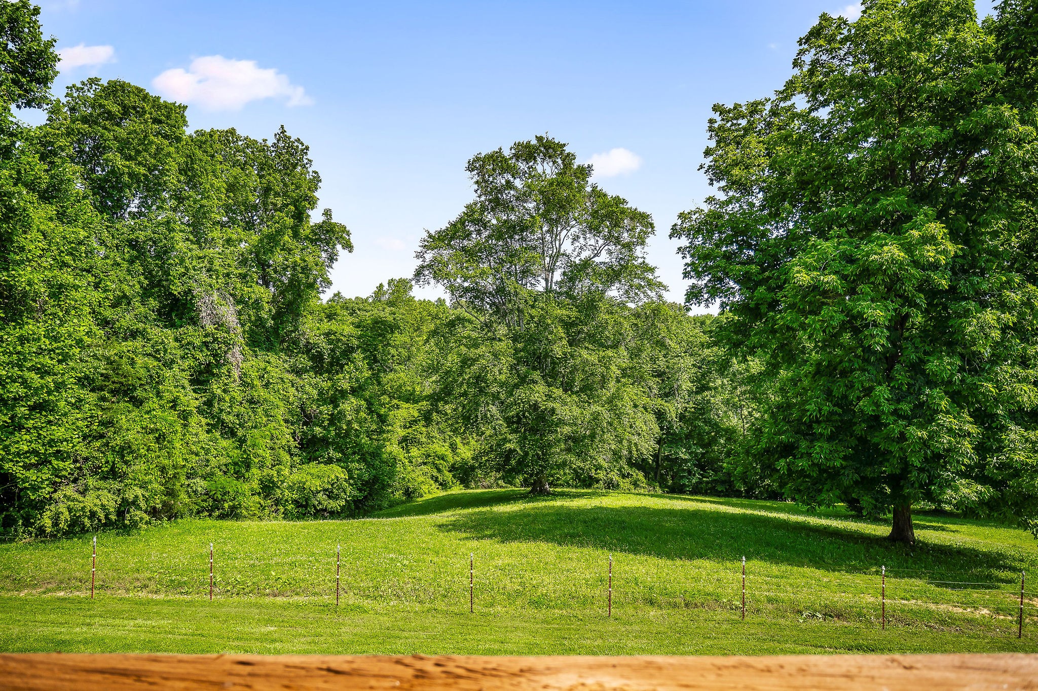 5177 Shellsford Road McMinnville, TN 37110 - Photo 51 of 51 Gallery Image 51