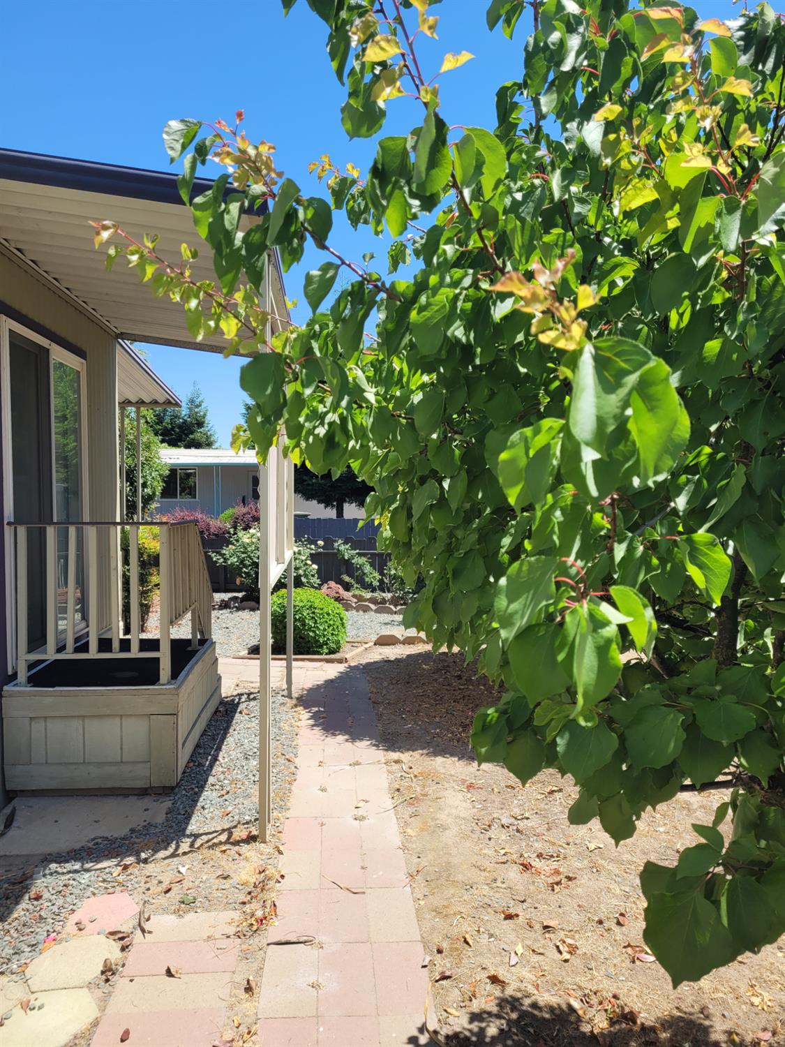 3955 Coffee Road, Unit 53 Modesto, CA 95355 - Photo 6 of 26 a view of a backyard of the house