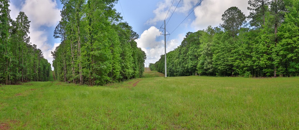 0 North Porter Road Shiloh, GA 31826 - Photo 18 of 32 Gallery Image 18